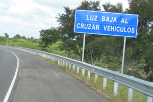 Autopista El Coral