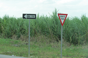 Autopista El Coral