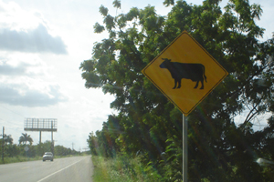 Carretera Azua - San Juan