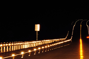 Señalización Horizontal